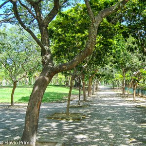 big size photo in the gallery