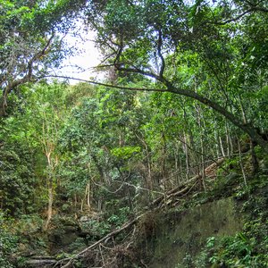 big size photo in the gallery