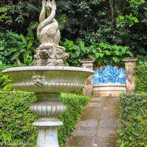 big size photo in the gallery