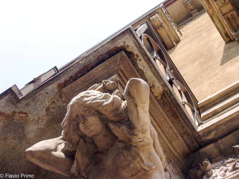 photo in the gallery