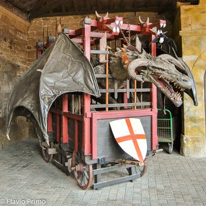 big size photo in the gallery