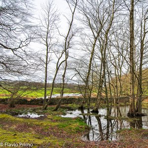 big size photo in the gallery