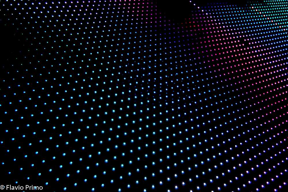 photo in the gallery