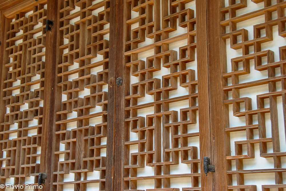 photo in the gallery