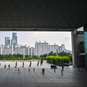 big size photo in the gallery