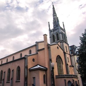 big size photo in the gallery