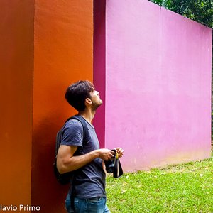 big size photo in the gallery