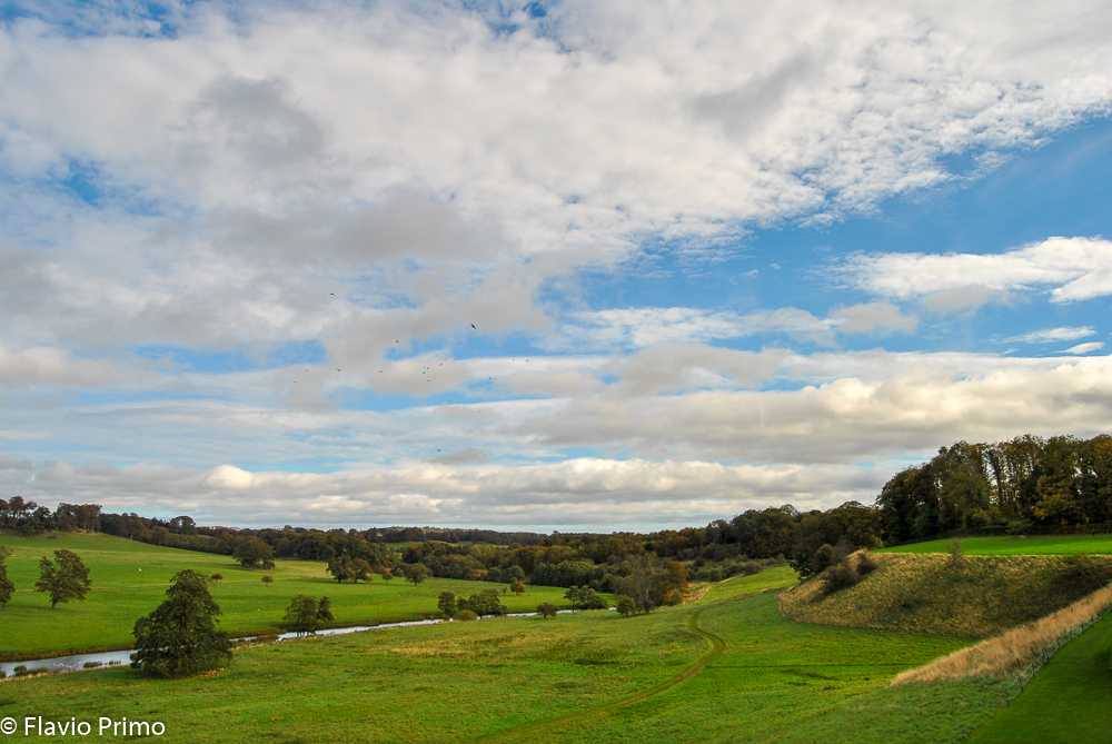 photo in the gallery