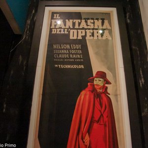 big size photo in the gallery